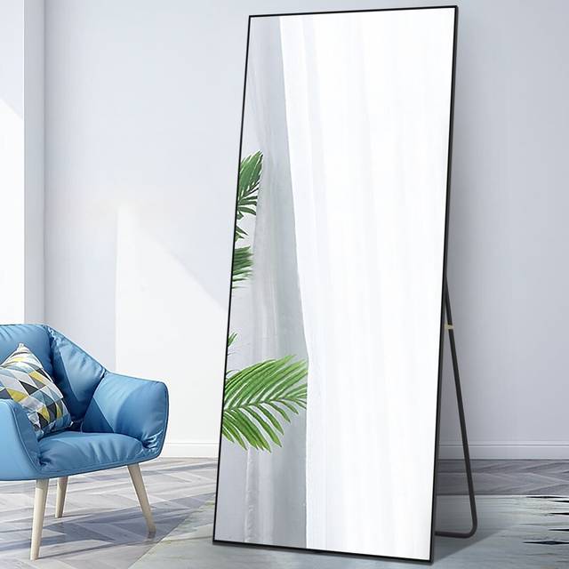 Coletti Magnifying Full Length Mirror - Black (165.1cm H X 55.88cm W X 2.54cm D)