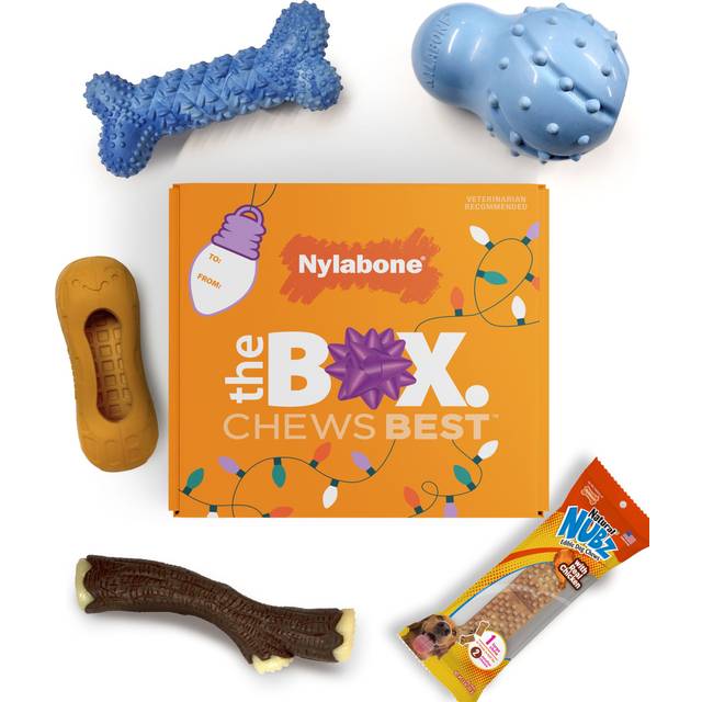 Nylabone Dog Gift Box  Includes 4 Rubber Strong Chew Toys and 1 Natural Treat  Gifts for Dogs  Small - Up to 25 lbs  5 Pack