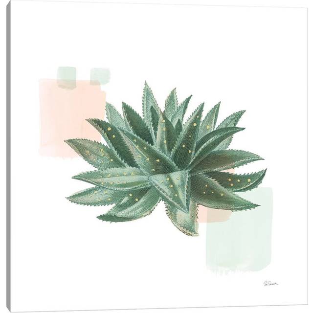 Desert Color Succulent II Mint by Sue Schlabach - Gallery-Wrapped Canvas Giclée on Canvas (30.48cm H x 30.48cm W x 1.905cm D)