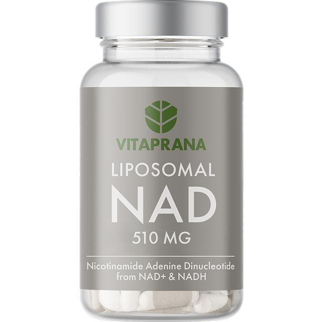Liposomal NAD+ med NADH 510 mg 30 kapslar