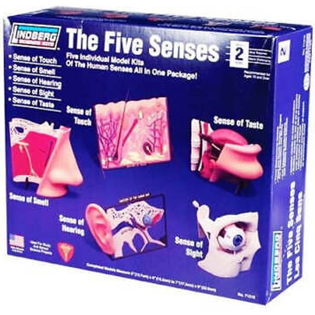 LIN71315 - *Lindberg - The Five Senses