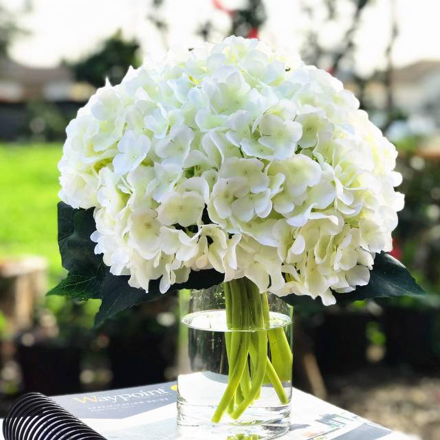 ENOVA HOME Artificial Silk Hydrangea Flower Arrangement in Clear Glass