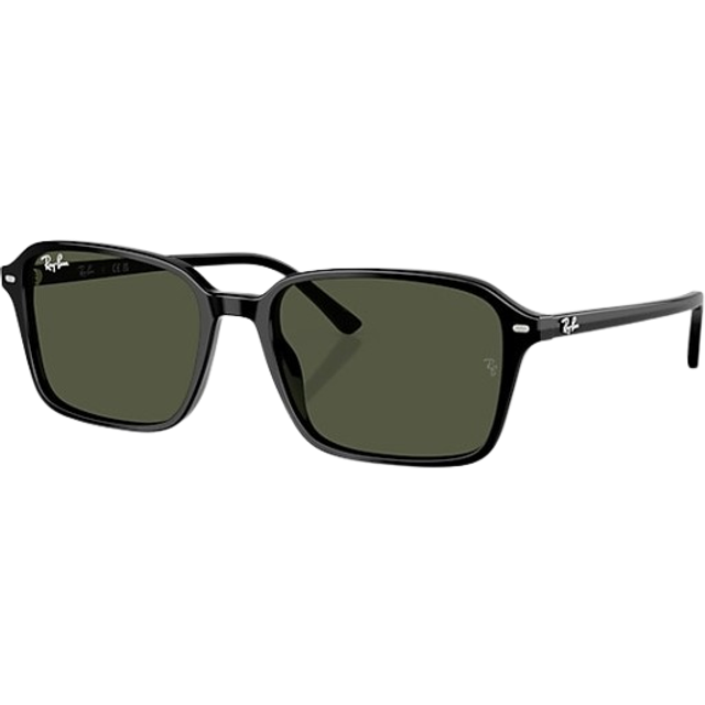 Ray-Ban Raimond - RB2231 901/31 5818