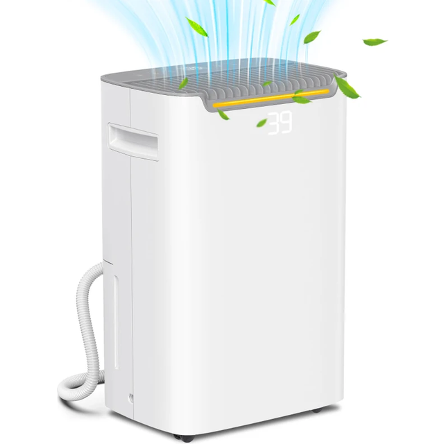 HOMCOM 20L/Day Dehumidifier for Home Damp, with 24H Timer, White