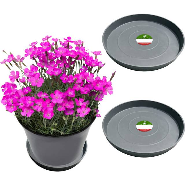 Little Bear Peak Round Composite Plant Saucer/Tray (2-Pack) | 60% Recycled Plastics & 40% Stone/Wood Powder | Heavy-Duty Water Catcher | Indoor & Outd