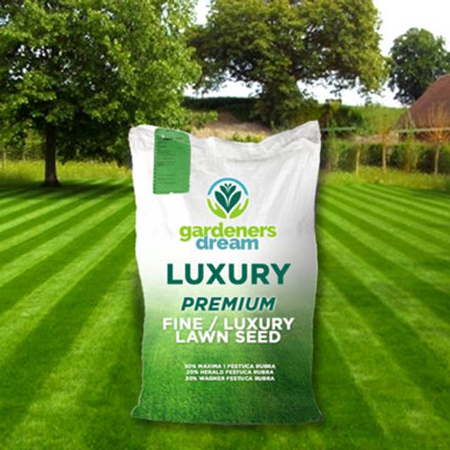GardenersDream FINE LAWN GOLF GREEN TYPE ORNAMENTAL LUSH GARDEN GRASS SEED