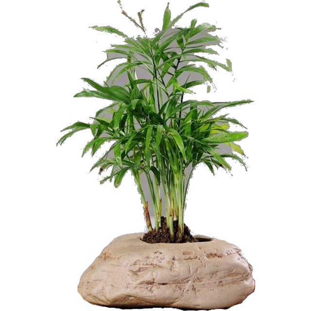 (F) Ceramic Stone Pots Indoor Garden Home Decor