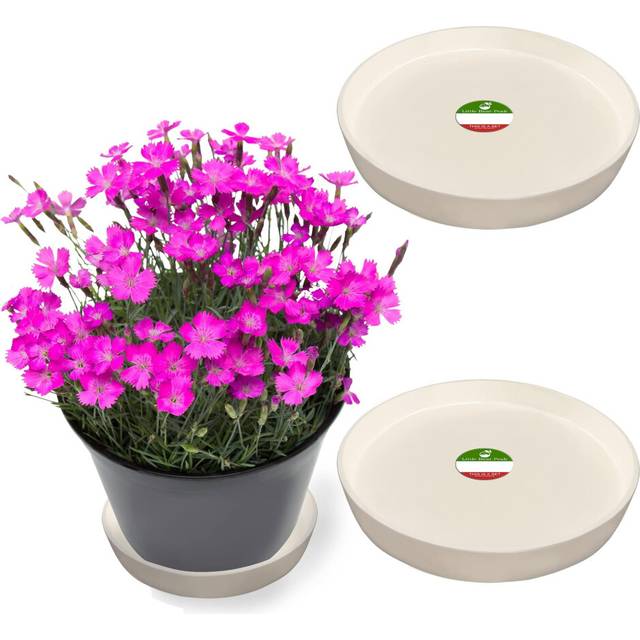 Little Bear Peak Round Composite Plant Saucer/Tray (2-Pack) | 60% Recycled Plastics & 40% Stone/Wood Powder | Heavy-Duty Water Catcher | Indoor & Outd