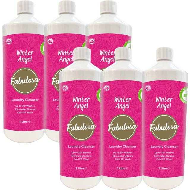 Antibacterial Freshening Laundry Cleanser Washing Disinfectant Liquid, Winter Angel, 1L, Pack of 6