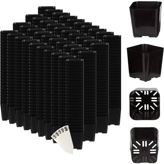 The Hydroponic City Black Square Flower Pots for Starting Seedlings  Succulents  or Cacti  2 x 2  Pack of 1000  THCity Sta