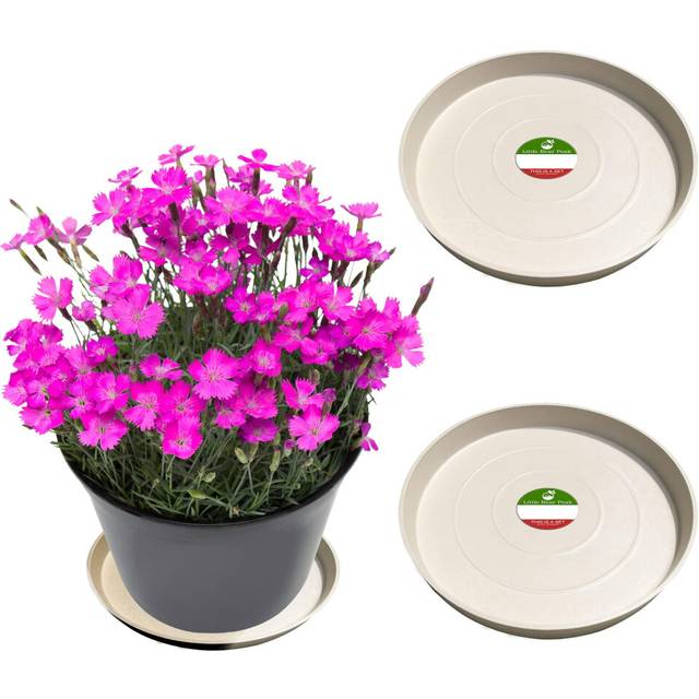 Little Bear Peak Round Composite Plant Saucer/Tray (2-Pack) | 60% Recycled Plastics & 40% Stone/Wood Powder | Heavy-Duty Water Catcher | Indoor & Outd