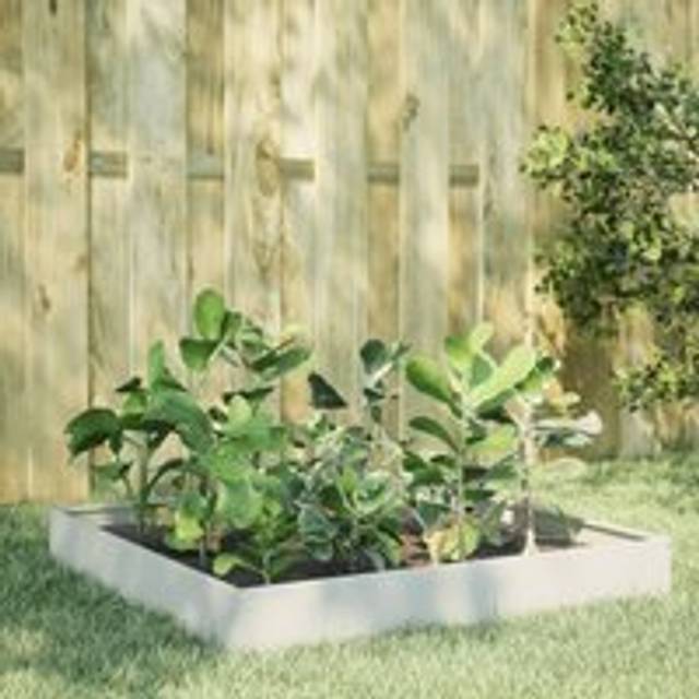 Garden Raised Bed White 100x100x26 cm Steel - One Size