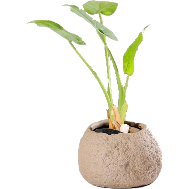 (B) Ceramic Stone Pots Indoor Garden Home Decor