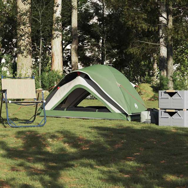 vidaXL Camping Tent 1-Person Green Waterproof