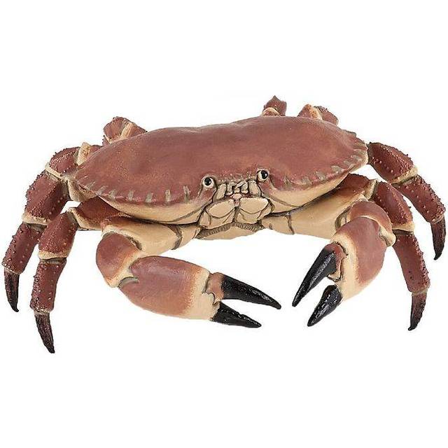 Crab
