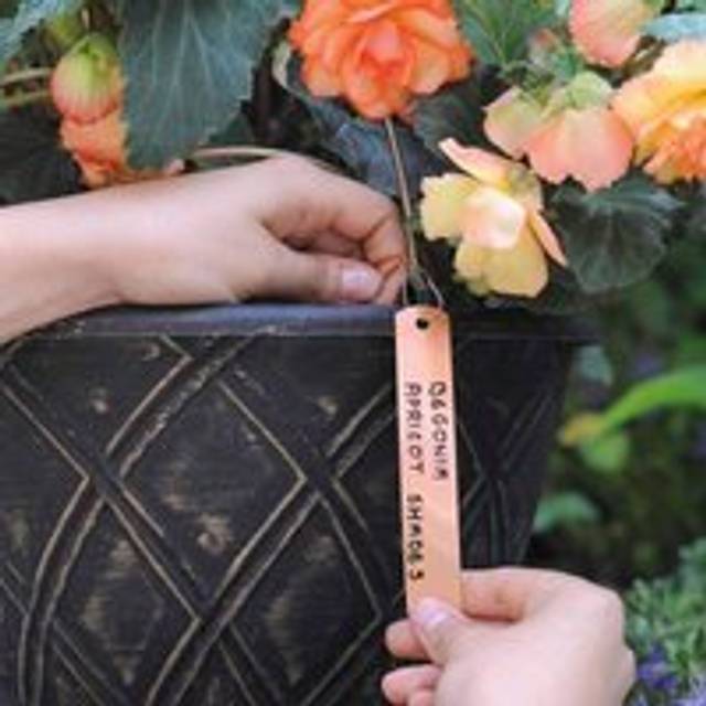 Thompson&morgan - Garden Essentials 10 Copper Labels x 1 Unit