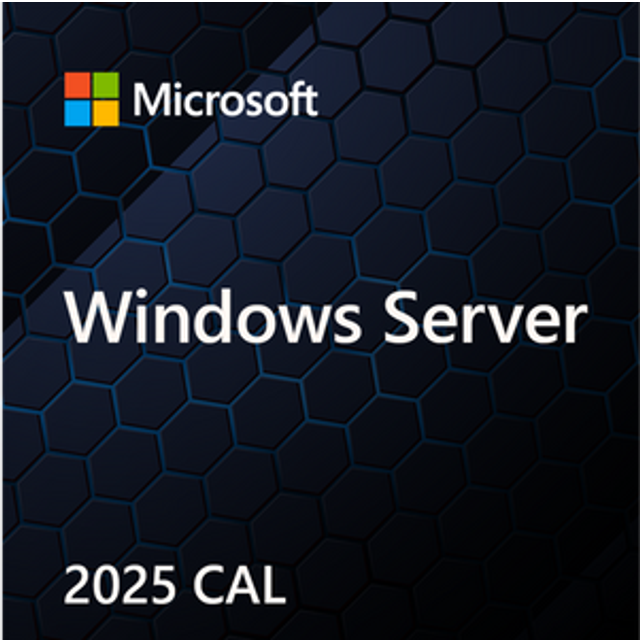 Microsoft Windows Server 2025 1 license(s)