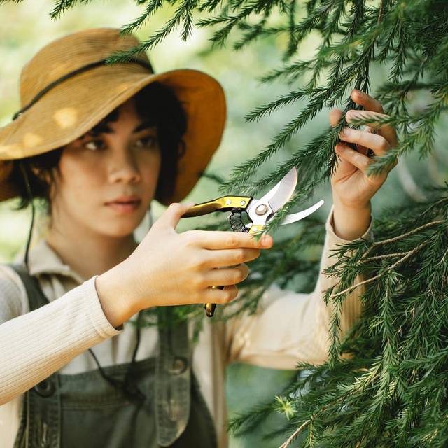 Secateurs Steel Blade Pruning Shears with Ergonomic Handles Gardening Pruning Scissors Bonsai gold