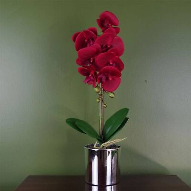 Leaf - 46cm Artificial Orchid Red with Silver Pot