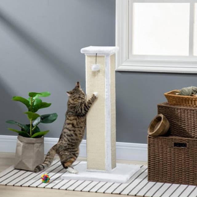 PawHut 81cm Cat Scratching Post w/ Sisal Rope - Hanging Ball Soft Plush - White | TJ Hughes