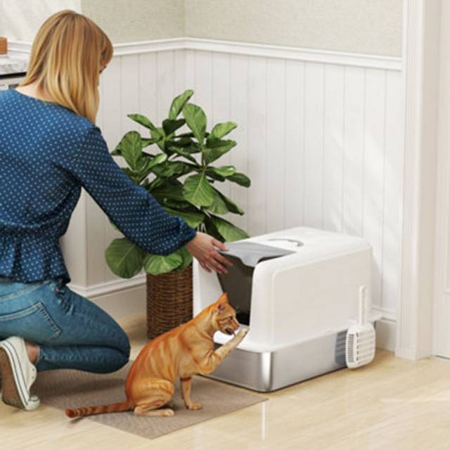 Pawhut Stainless Steel Cat Litter Box With Removable Lid & Scoop, White, White