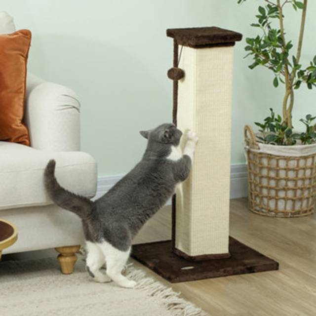 PawHut 81cm Cat Scratching Post w/ Sisal Rope - Hanging Ball Soft Plush - Brown | TJ Hughes White