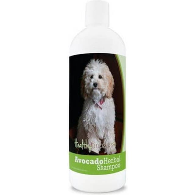 Healthy Breeds 840235157199 Cockapoo Avocado Herbal Dog Shampoo