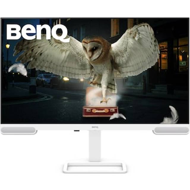Benq 31.5" EW3290U 4K UHD 60Hz Premium IPS Monitor