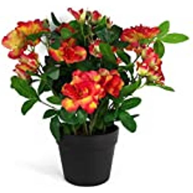 Artificial Rhododendron Plant Flowers Flowering Plant Orange (40cm H X 40cm W X 40cm D)