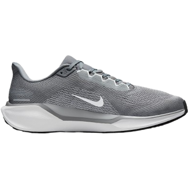 Nike Pegasus 41