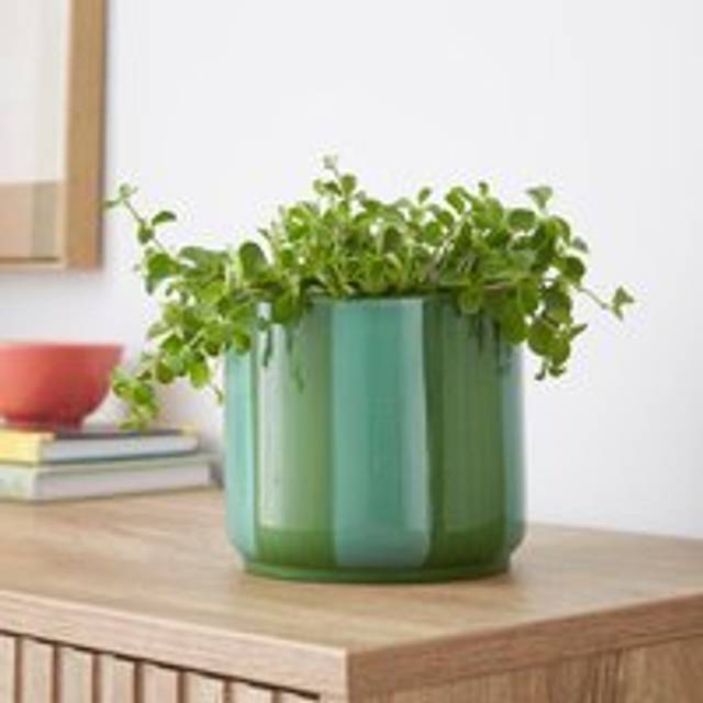Elements Striped Ceramic Plant Pot - Green