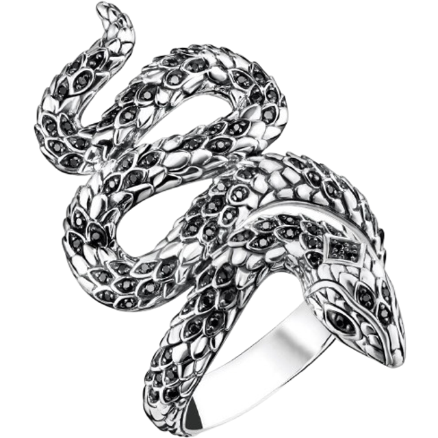 Silver Blackened Snake Ring (48)