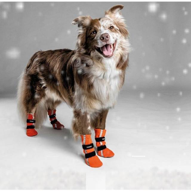 Finnero Hundsko Halla 4p, XL, Orange med reflex