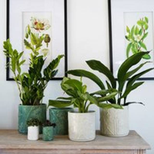 Kew Meadow Planter - Stoneware - L20.5 x W20.5 x H20.5 cm - Olive