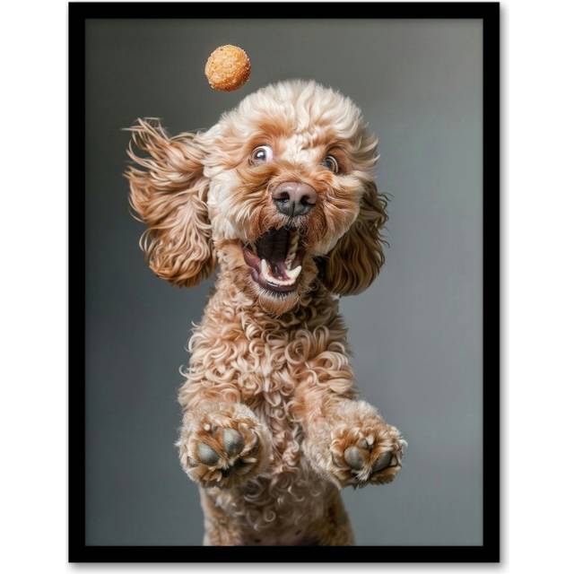 Wall Art Print Funny Cockapoo Dog Lover Treat Catch Photo Art Framed Poster - Black - A4