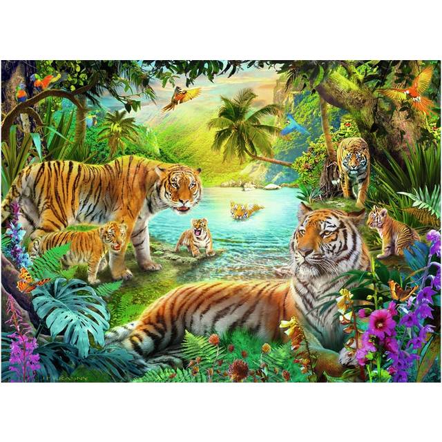 Tigers in the Oasis