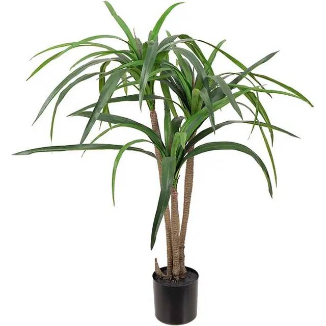 Mr Plant, Dracena Palm 90 cm