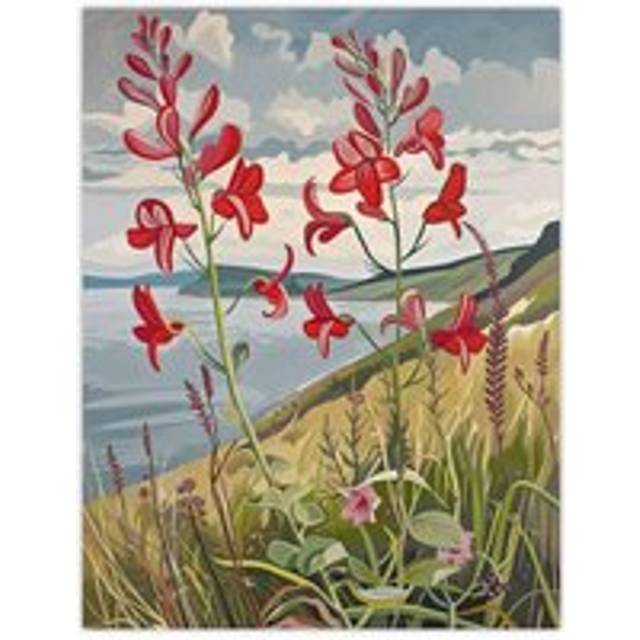 Red Wildflowers on Hunt Cliff Saltburn Yorkshire Wall Art Print - Green - W18 inch x H24 inch