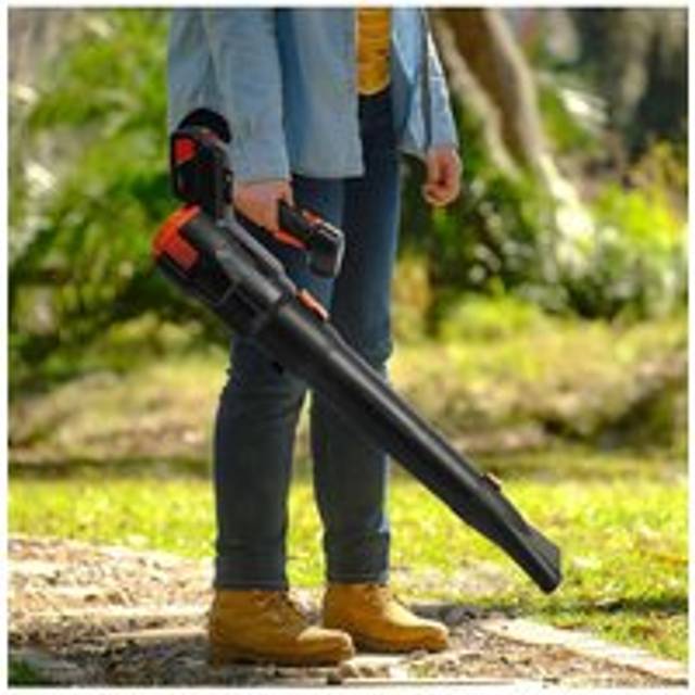 21V Cordless Handheld Leaf Blower with Battery and Charger - Black - One Size