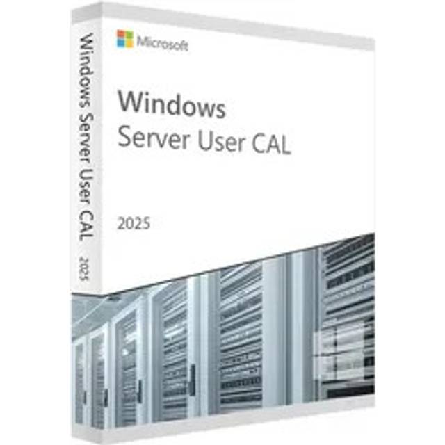 Microsoft Windows Server 2025 Standard 1 license(s)