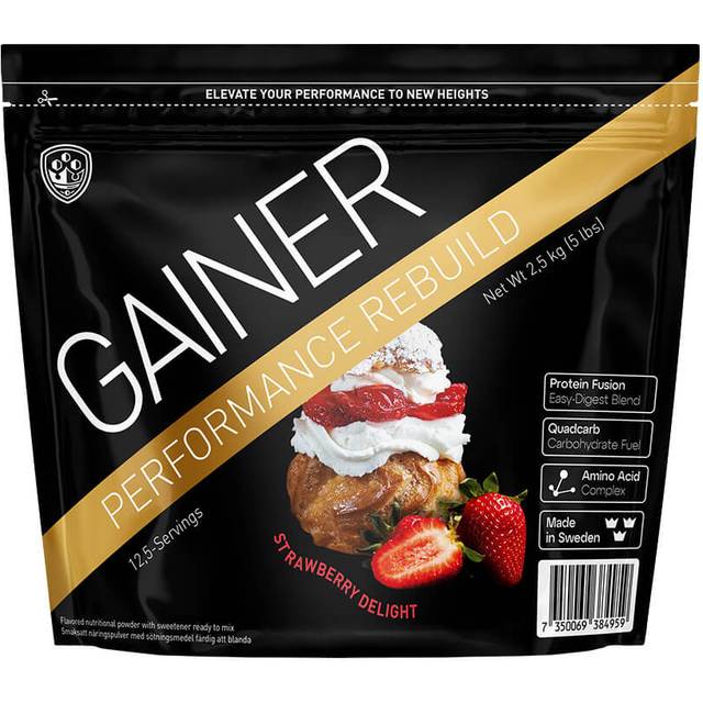Performance Gainer 2500 g