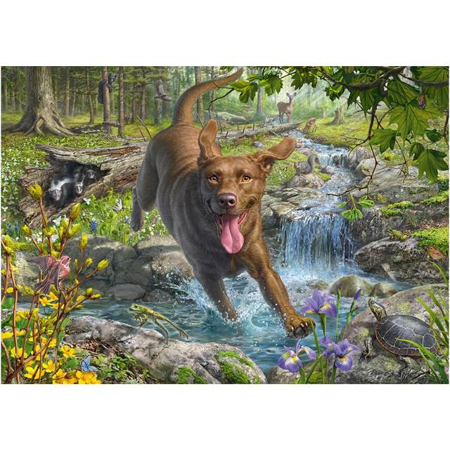 Schmidt Springtime Cavorting with a Labrador Retriever
