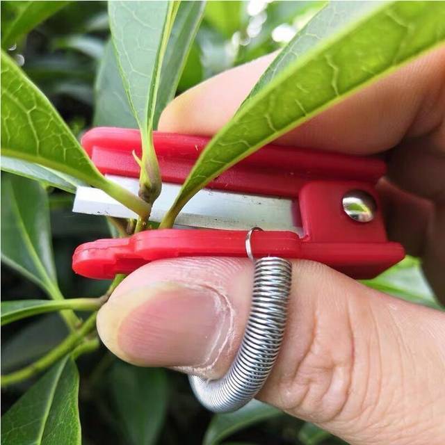 (Red, 1pc) Alloy Steel Thumb Cutter for Bonsai, Classic Garden Pruning Shear - Multi-functional Hand Tool for Tea Picking, Leaf Trimming & Bud Pinchin