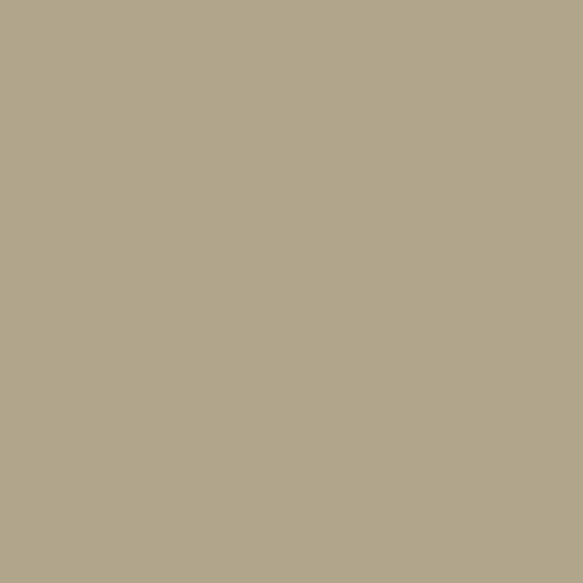 Rolling Fog - Dark™ - Absolute Matt Emulsion - 2.5 L