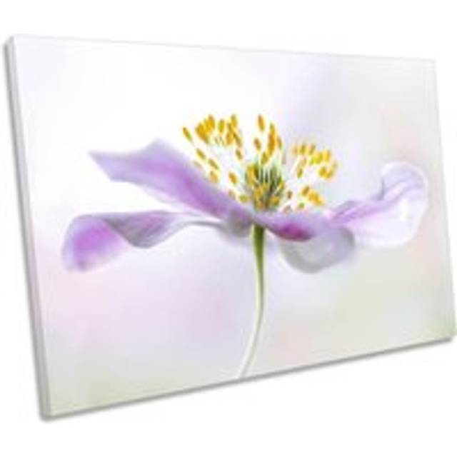 Anemone Flower Floral Purple Canvas Wall Art Picture Print - W36 inch x H24 inch x D40mm