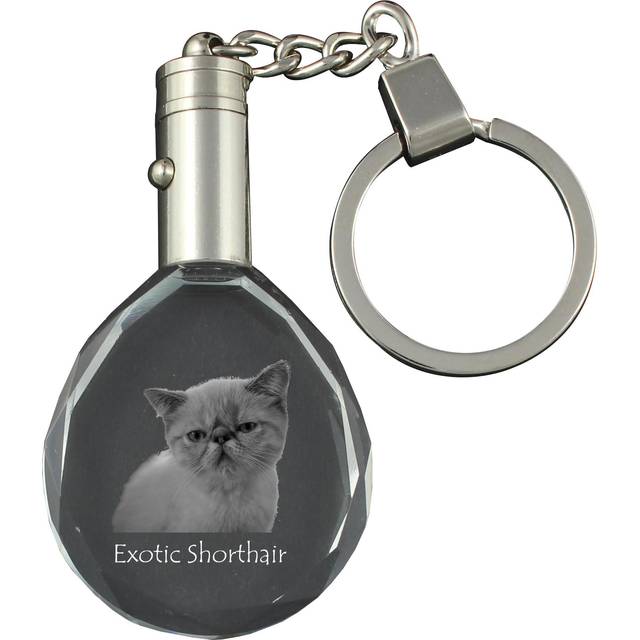 Exotic Shorthair - Fob with cat photo, crystal key ring in gift box, unique gift by Art-Dog brand transparent