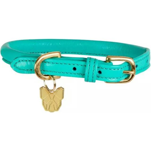 (M/L - Neckline: 47cm-52cm, Teal) Digby & Fox Rolled Leather Buckle Dog Collar
