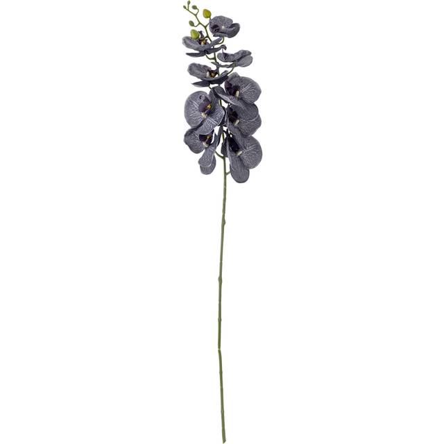 Orkide stilk lilla, kunstig - Bloomingville - H: 105,5 cm