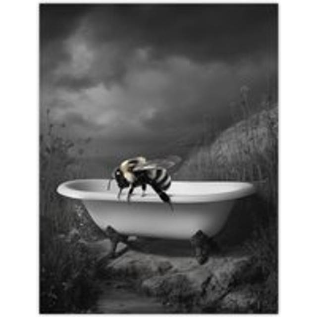 Bumblebee Riverbank Bathtub Black White Surreal Wall Art Print - Grey - W12 inch x H16 inch
