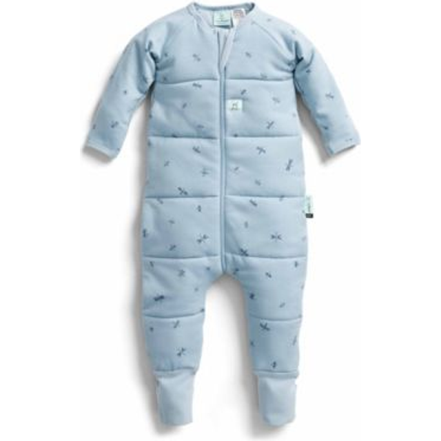 Ergopouch Winter Long Sleeved Sleep Onesie 2.5 Tog - Dragonflies - 12-24 Months